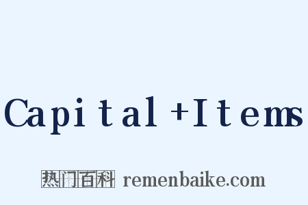 Capital+Items是什么意思的图片